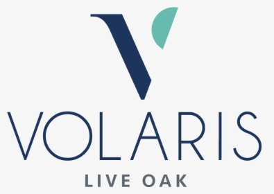 Volaris Live Oak, HD Png Download, Free Download