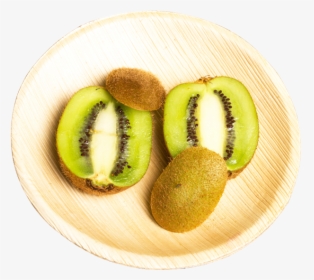 Important Facts That You Should Know About Palm And - Hardy Kiwi, HD Png Download, Free Download