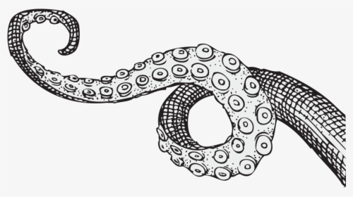 Tentacle Drawing, HD Png Download, Free Download