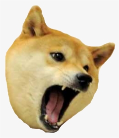 Doge Meme Png Images Free Transparent Doge Meme Download Kindpng