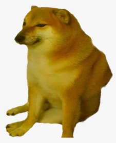 Cheems Doge Transparent, HD Png Download, Free Download