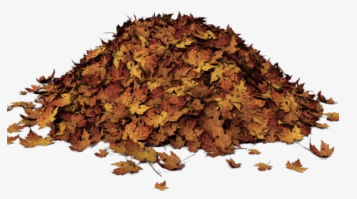 Pile Of Leaves Clip Art, HD Png Download, Free Download