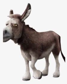 Sony Pictures Animation Wiki - Old Donkey, HD Png Download, Free Download