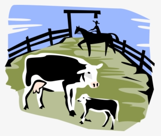 Vector Illustration Of Domestic Farm Livestock Animal - Steps In Ordering Whole Numbers, HD Png Download, Free Download