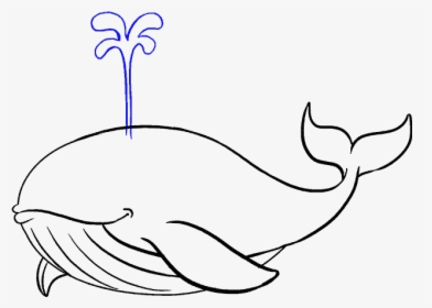 How To Draw Whale - Whale Drawing, HD Png Download, Free Download