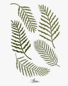 Botanical Fern Leaf Set Png, Transparent Png, Free Download