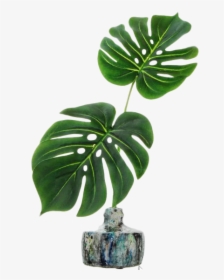 Tropical Leaves For Vase, HD Png Download, Free Download