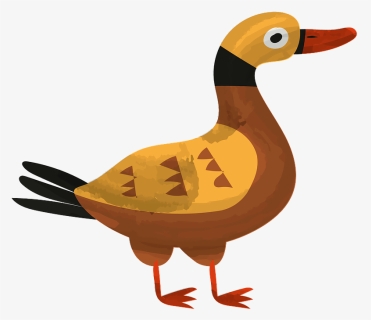 Seaduck, HD Png Download, Free Download