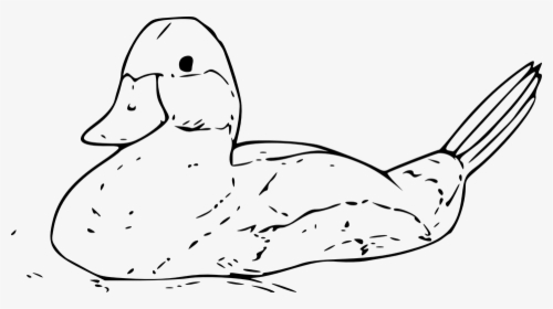 Outline Of A Duck, HD Png Download, Free Download