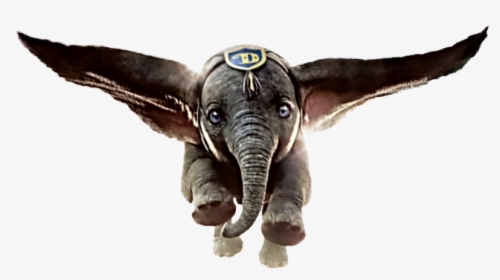 Dumbo, HD Png Download, Free Download