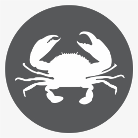 Cancer Vector Crab - Mud Crab Logo, HD Png Download, Free Download