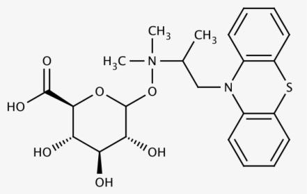 Structure For Promethazine N B D Glucuronide - Cas 3159 04 4 Hs Code, HD Png Download, Free Download