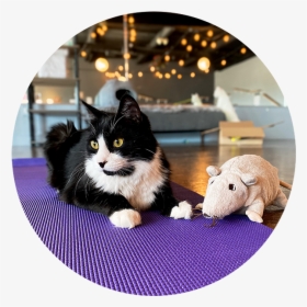 Yogacircle - Ragamuffin, HD Png Download, Free Download