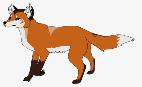 Smooth Collie, HD Png Download, Free Download