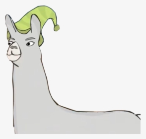 #carl #caarl #caaarl #llama #llamas #hat #hats #llamaswithhats - Llamas With Hats Carl, HD Png Download, Free Download