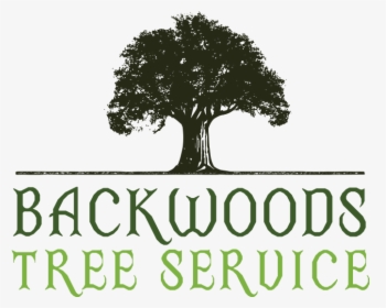 Backwoods Tree Service Logo - Illustration, HD Png Download, Free Download