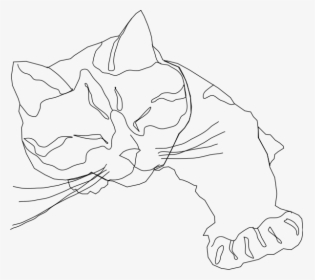 Sleepy Calico Cat Png Clip Arts - Calico Cat Line Drawing, Transparent Png, Free Download