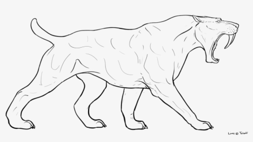 Saber Tooth Cat Drawing , Png Download - Sabertooth Sphinx, Transparent Png, Free Download