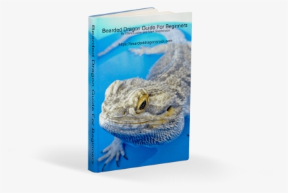 Bearded Dragon , Png Download - Agama, Transparent Png, Free Download