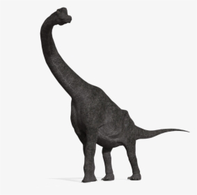 Thumb Image - Brachiosaurus Png, Transparent Png, Free Download
