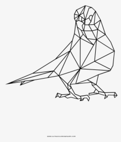 Parakeet Coloring Page - Line Art, HD Png Download, Free Download