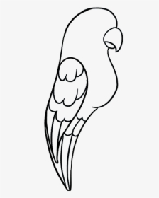 How To Draw A Parrot - Cartoon Parrot Drawing Easy, HD Png Download, Free Download