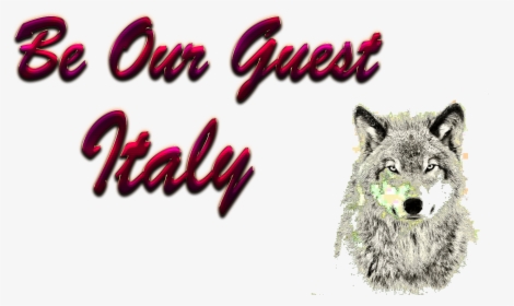 Italy Be Our Guest Slogan Png - Timber Wolf Portrait, Transparent Png, Free Download