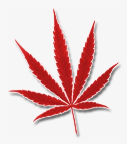 O"cannabiz Top Marijuana Trade Show Awards And Expo - Cannabis, HD Png Download, Free Download