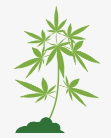 Illustration, HD Png Download, Free Download
