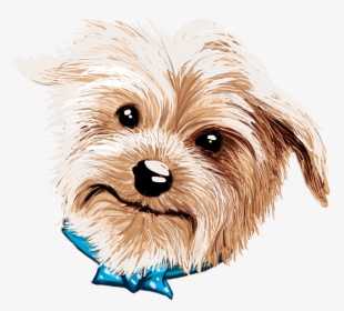 Doggy Drawing Yorkie Png Freeuse Library - Yorkshire Terrier, Transparent Png, Free Download