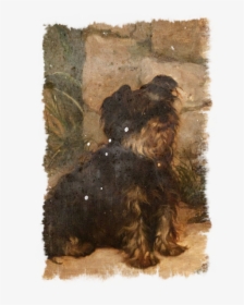 Terrier Yorkshire Color Painting, HD Png Download, Free Download