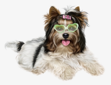 Clipart Puppy Maltipoo - English Yorkshire Terrier, HD Png Download, Free Download