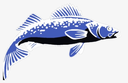 Walleybaits - Bass, HD Png Download, Free Download