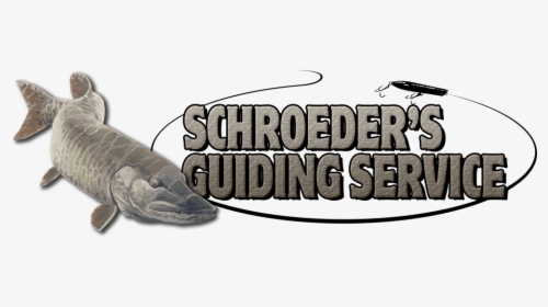 Schroeders Guiding Service - Alligator, HD Png Download, Free Download