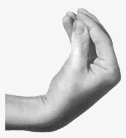Italian Hand Png - Italian Hand Gesture Png, Transparent Png, Free Download