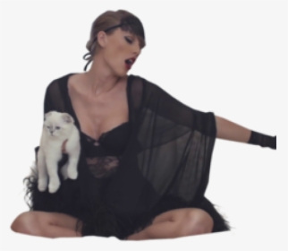 Taylor Swift Png Transparent Images - Taylor Swift Png With Cats, Png Download, Free Download