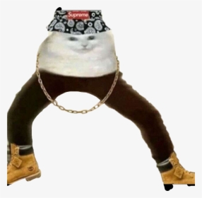 #cat #gangster #chain #timbs #supreme #hat #yes #freetoedit - Wuss Poppin, HD Png Download, Free Download