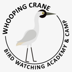 Whooping Crane Picture - Pichu, HD Png Download, Free Download