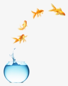 #freetoedit #myedit #fish Jumping Out Of Bowl - Leading Fish, HD Png Download, Free Download