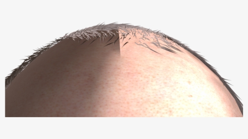 Https - //forum - Reallusion - 228f 4084 B16c 6935 - Close-up, HD Png Download, Free Download