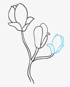 How To Draw Magnolia Flower - Magnolia Flower Drawing Easy, HD Png Download, Free Download