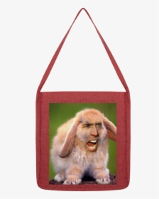 Nicolas Cage"s Face On A Rabbit ﻿classic Tote Bag"  - Nicolas Cage Meme, HD Png Download, Free Download