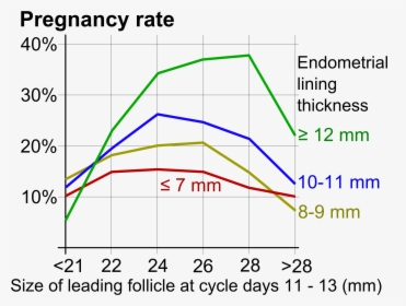 Pregnancy Rate In Ovulation Induction - Pregnancy Rate Italy, HD Png Download, Free Download