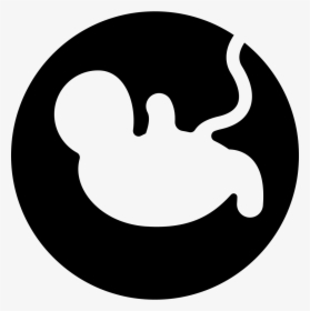 Pregnancy - Reproduction Icon Png, Transparent Png, Free Download