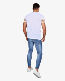 Baroquet Back, HD Png Download, Free Download
