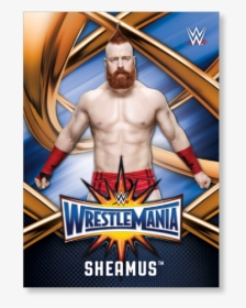 Sheamus 2017 Wwe Road To Wrestlemania Wrestlemania - Roman Reigns Wrestlemania Poster, HD Png Download, Free Download