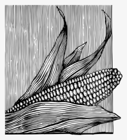 Corn On The Cob - Corn Graphics Black And White, HD Png Download, Free Download
