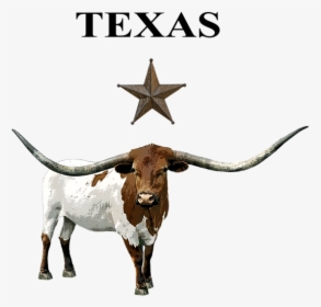 Texas Longhorn Transparent Background, HD Png Download, Free Download