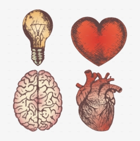 Heart Brain Bulb Sketch Set - Love Brain Drawing, HD Png Download, Free Download