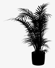Botany,plant,flower - Indoor Plant Silhouette Png, Transparent Png, Free Download